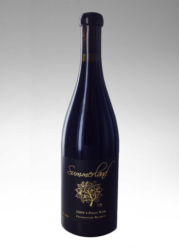 2009 PR Pinot Noir Bien Nacido 750 mL Image