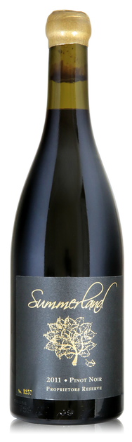 2013 Pinot Noir Bien Nacido PR 750 mL