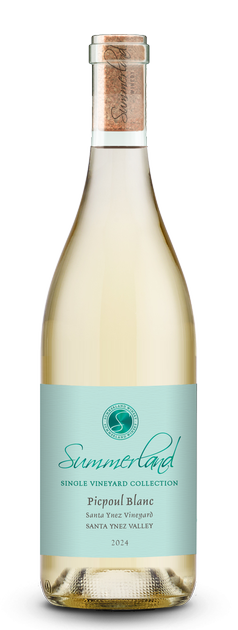 2024 Santa Ynez Vineyard Picpoul Blanc